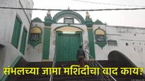 'संभल जामा मशीद संकुलात बेकायदा बांधकाम, मुळ ढाचाच बदलला'; ASI कोर्टात काय म्हणाले? 