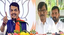 फडणवीसांनी तुळशी वृंदावनात भांगेची झाडं लावतील... संजय राऊतांनी धो-धो धूतलं