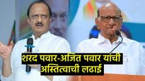 राज्यातील 'या' विधानसभा मतदारसंघात NCP विरुद्ध NCP अशी लढत; जाणून घ्या- कुठे अटीतटीचा सामना 