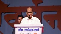 Maharashtra Assembly Election 2024 :  पुणे जिल्ह्यातच शरद पवारांना दणका; पदरात अवघी एक जागा