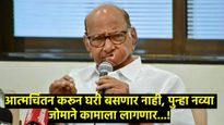 विधानसभेच्या निकालावर शरद पवारांची पहिली प्रतिक्रिया; म्हणाले- बटेंगे तो कटेंगेमुळे मतांचे ध्रुवीकरण