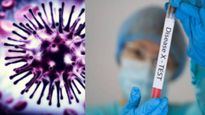 Disease X काय आहे? काँगोत रहस्यमय आजाराने 143 जणांचा घेतला बळी, WHOने काय दिला अलर्ट? 