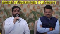 नागपूर हिवाळी अधिवेशनाचे सूप वाजले; मंजूर झालेल्या 17 विधेयकांची यादी, फडणवीस म्हणाले-.... 