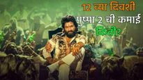 Pushpa 2 :'पुष्पा 2 ने 12 व्या दिवशी केली इतक्या कोटींची कमाई! आकडे वाचून व्हाल थक्क, केला हा विक्रम