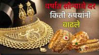 year ender 2024 वर्षात सोन्याचे भाव गगनाला भिडले, 30 टक्क्यांची वाढ वाचा 10 वर्षातील सोने-चांदीचे दर