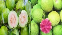 Red vs White Guava: लाल की पांढरा पेरू, कोणता अधिक शक्तिशाली आहे?