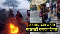 Maharashtra Weather : हिवाळ्यात पावसाचे संकट, या जिल्ह्यांना रेड अलर्ट, IMDने काय दिला इशारा 