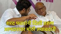 शरद पवारांच्या पक्षाचा गटनेता ठरला; सर्वात तरुण आमदार रोहित पाटलांवर मोठी जबाबदारी! 