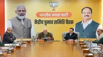 दिल्ली निवडणुकीसाठी भाजपने चौथी यादी जाहीर , शिखा राय यांना ग्रेटर कैलाशमधून तिकीट