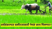 केंद्रीय अर्थसंकल्प 2025: शेतकऱ्यांना काय मिळेल? पिक विमा, किसान सन्मान निधीबाबत अपेक्षा वाढल्या