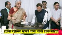अर्थसंकल्पापूर्वी हलवा का बनवतात? लॉक इन म्हणजे काय? वाचा, याविषयीची रंजक माहिती  