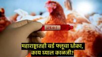 Bird Flu Alert : झारखंड, AP ते तेलंगणापर्यंत बर्ड फ्लूची दहशत, काय घ्याल काळजी, वाचा सविस्तर 