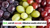 हिरवी, काळे की लाल द्राक्षे, पौष्टिकतेच्या बाबतीत कोणते चांगले , यापैकी कोणते खावे?