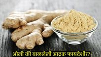ओली आणि वाळलेल्या आद्रकीत काय फरक असतो; कोणती आद्रक आरोग्यासाठी फायदेशीर असते? 