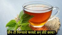 ग्रीन-टी जितकी आरोग्यासाठी फायद्याची आहे, तितकीच अतिसेवनाने ठरू शकते जीवघेणी, जाणून घ्या सविस्तर 