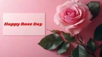 Rose Day 2025 Wishes: तुमच्या गोड जोडीदाराला द्या प्रेमाच्या गोड-गोड शुभेच्छा...!