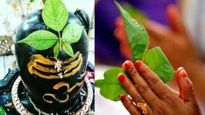 Mahashivratri 2025 : भगवान शिवाचे आवडते बेलपत्राचे अनेक आहेत आरोग्यदायी फायदे, जाणून घ्या