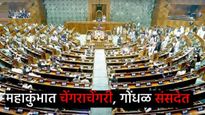 महाकुंभ चेंगराचेंगरीवरून संसदेत गोंधळ, विरोधकांचा सभात्याग, लोकसभा अध्यक्ष कोणांवर भडकले 