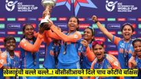 मोठी बातमी! विश्वचषक विजेच्या संघाला BCCI देणार पाच कोटी; वाचा, कुणाला मिळणार रोख बक्षिस?