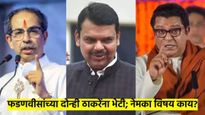 राज ठाकरे-फडणवीस भेटीनंतर काही तासांत ठाकरेंचे तीन नेते 'सागर'वर; नेमका विषय काय?