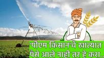 PM kisan yojana: 'पीएम किसान'चे 2 हजार रुपये खात्यात आले नाही का? या नंबरवर कॉल करा आणि जाणून घ्या