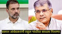 'वाघाहून मांजर अशी राहुल गांधींची अवस्था', मोदींनी त्यांना कचाट्यात पकडलंय, आंबेडकरांचा हल्लाबोल 