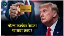 एका दिवसात 1000 Gold Cardची विक्री; US मंत्र्याचा दावा, डोनाल्ड ट्रम्प यांची ही योजना नेमकी काय आहे?