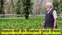पंतप्रधान नरेंद्र मोदींचा गुजरात दौरा कशासाठी..? वनतारात पोहोचले, सोमनाथलाही पूजा करणार