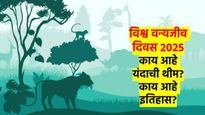 विश्व वन्यजीव दिवस 2025: काय आहे यावर्षीची थीम? या दिवसाचे महत्व काय? इतिहास काय? वाचा...