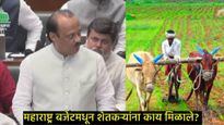 Maharashtra Session :  अजित पवारांनी राज्यातील शेतकऱ्यांसाठी काय केल्या घोषणा, वाचा 10 पॉईंट्स   