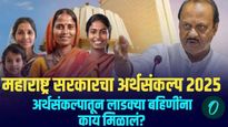 Maharashtra Budget 2025: लाडक्या बहि‍णींना सरकारचा मोठा धक्का! काय मिळालं काय नाही? वाचा एका क्लिकवर