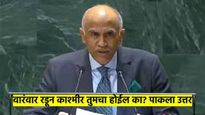 वारंवार रडून काश्मीर तुमचा होईल का? भारताने काढली पाकिस्तानची हवा; UN बैठकीत सुनावले