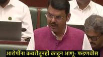 पोलिसांवर हल्ला सहन होणार नाही...त्यांना कबरीतून बाहेर शोधून काढू; देवेंद्र फडणवीस संतापले  