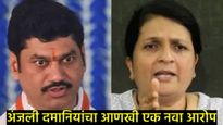 पंकजा मुंडेंचे कांड करण्यासाठी धनंजय मुंडेंनी फाईल आणून दिल्या; अंजली दमानियांचा गौप्यस्फोट 