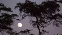 chaitra Purnima 2025: चैत्र पौर्णिमा कधी आहे? योग्य तारीख, वेळ आणि पद्धत जाणून घ्या!