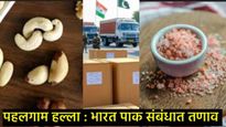 Pahalgam Attack : पाकिस्तानशी संबंध संपले तर कोण-कोणत्या गोष्टी महागात पडू शकतात?, यादी पहा  