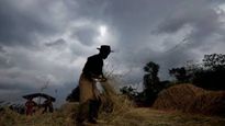 maharashtra weather update : नागपूरसह विदर्भावर अवकाळी पावसाचं संकट, पुढील दोन दिवस महत्वाचे