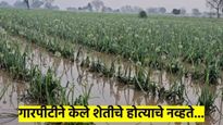 कुठे ४५ अंशाचा पारा, तर पुण्याला पावसानं झोडपलं; गारपिटीने शेतीचं मोठ्ठं नुकसान, कुठे काय झालं? वाचा