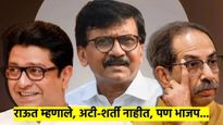 अटी-शर्ती नाहीत... संजय राऊतांनी सांगितला राज-उद्धव ठाकरे यांचा एकत्र येण्याचा 'हा' प्लॅन, म्हणाले..