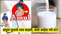 मदर डेअरीनंतर अमूलनेही वाढवल्या दुधाच्या किंमती; कारण काय? किती वाढल्या किंमती? वाचा 
