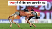 चंपकमुळे बीसीआयच्या अडचणीत वाढ,न्यायलयाकडून नोटीस, काय आहे प्रकरण घ्या जाणून