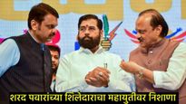 भाजपच्या दृष्टीने मित्रपक्ष म्हणजे तात्पुरती सोय, आधी शिंदेंचे पंख छाटले, आता दादांची पाळी..!  