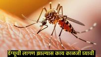 Dengue : डेंग्यूच्या काळात काय खावे अन् काय खाऊ नये?, 'या' गोष्टींमुळे तुम्ही व्हाल त्वरीत तंदुस्त! 
