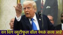 डोनाल्ड ट्रम्प यांचे One Big Beautiful Bill काय आहे?, अमेरिका ते इंडियापर्यंत का उडाला गदारोळ?  
