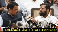 विधानसभा निकालानंतर अवघ्या 6 महिन्यांत एकनाथ शिंदे भाजपसाठी नकोसे का झाले, नेमकं राजकारण काय? 