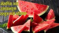 टरबूजावरही इंजेक्शनद्वारे केमिकलचा मारा! कृत्रिम अन् नैसर्गिक पिकलेले टरबूज कसे ओळखायचे जाणून घ्या