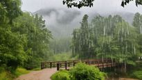 Maharashtra Weather:राज्यात आज-उद्या जोरदार पाऊस होणार! जाणून घ्या, तुमच्या विभागातील पावसाची स्थिती
