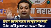 हिरव्या सापांची वळवळ खपवून घेणार नाही, नितेश राणेंचं पुन्हा एकदा वादग्रस्त विधान...