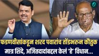 फडणवीसांकडून शरद पवारांचे कौतुक, अजित पवार व शिंदेंबाबत स्पष्ट भाष्य; राजकीय चर्चांना उधाण