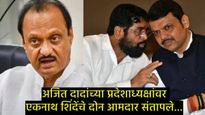 NCP-शिवसेनेत जुंपली; आमदार महेंद्र दळवींचा तटकरेंवर आरोप; परांजपेंना म्हणाले तू दीडदमडीचा माणूस... 